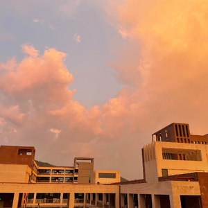 cos尾巴插件入体女
