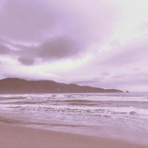 cos尾巴插件入体女
